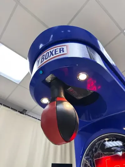 Силомер боксер «Rocky Boxer» Standart