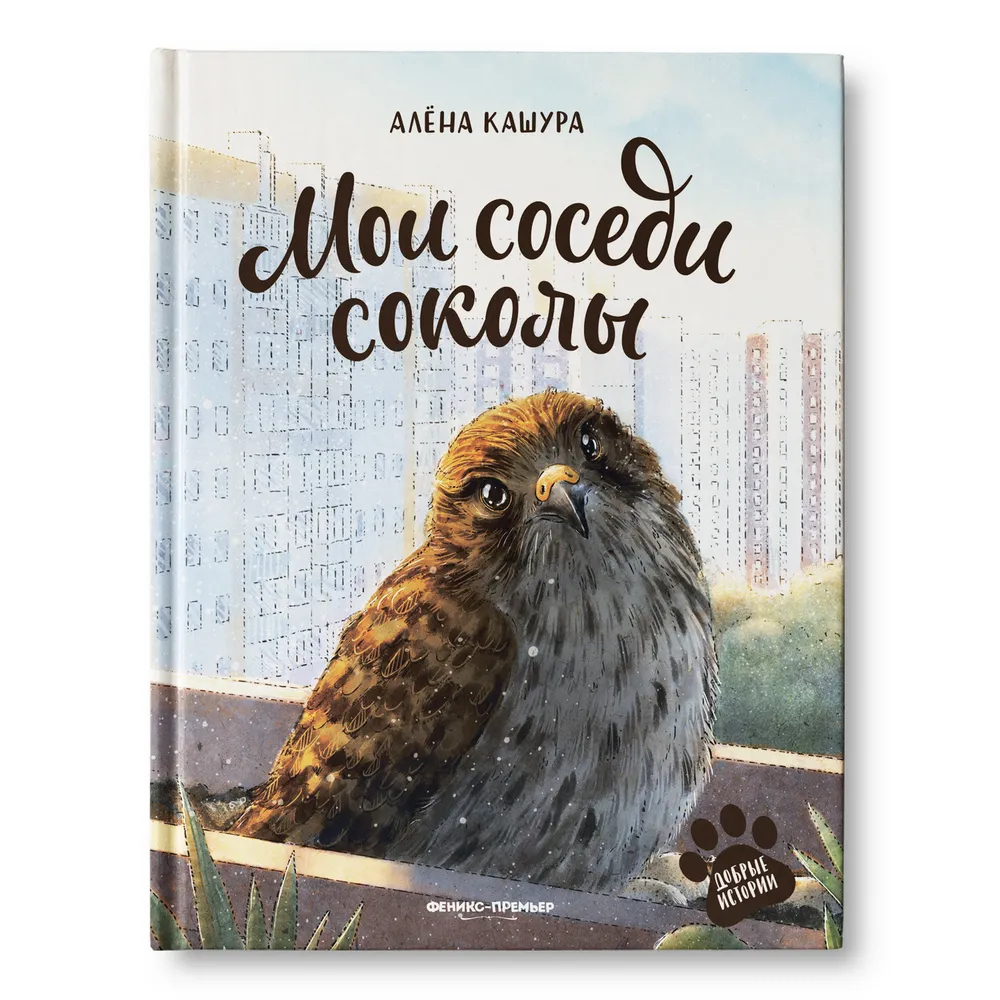 Мои соседи соколы