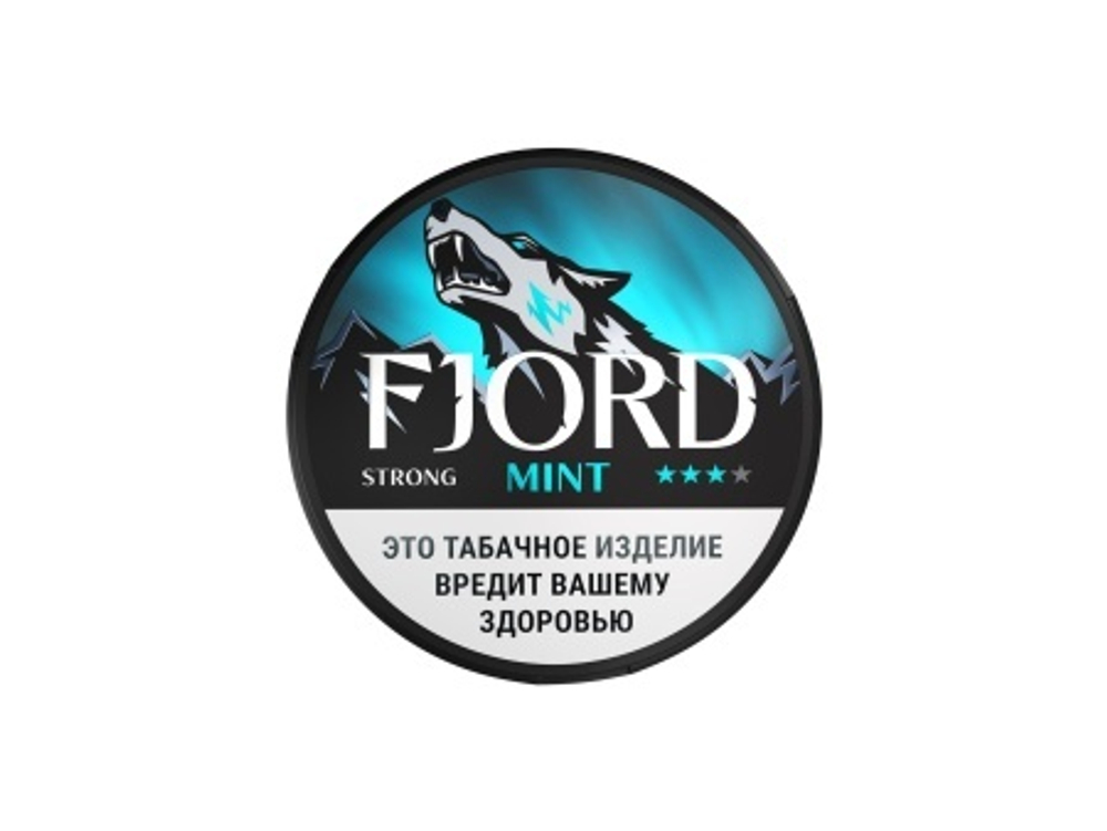 Fjord Mint Strong 13гр купить в Москве с доставкой по России