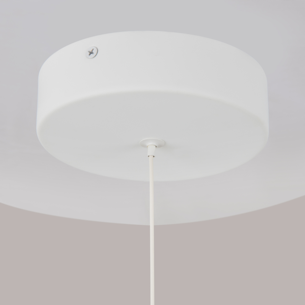 Подвесной светильник Maytoni P021PL-L10W