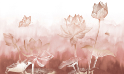 Коллекция Grafika Natura