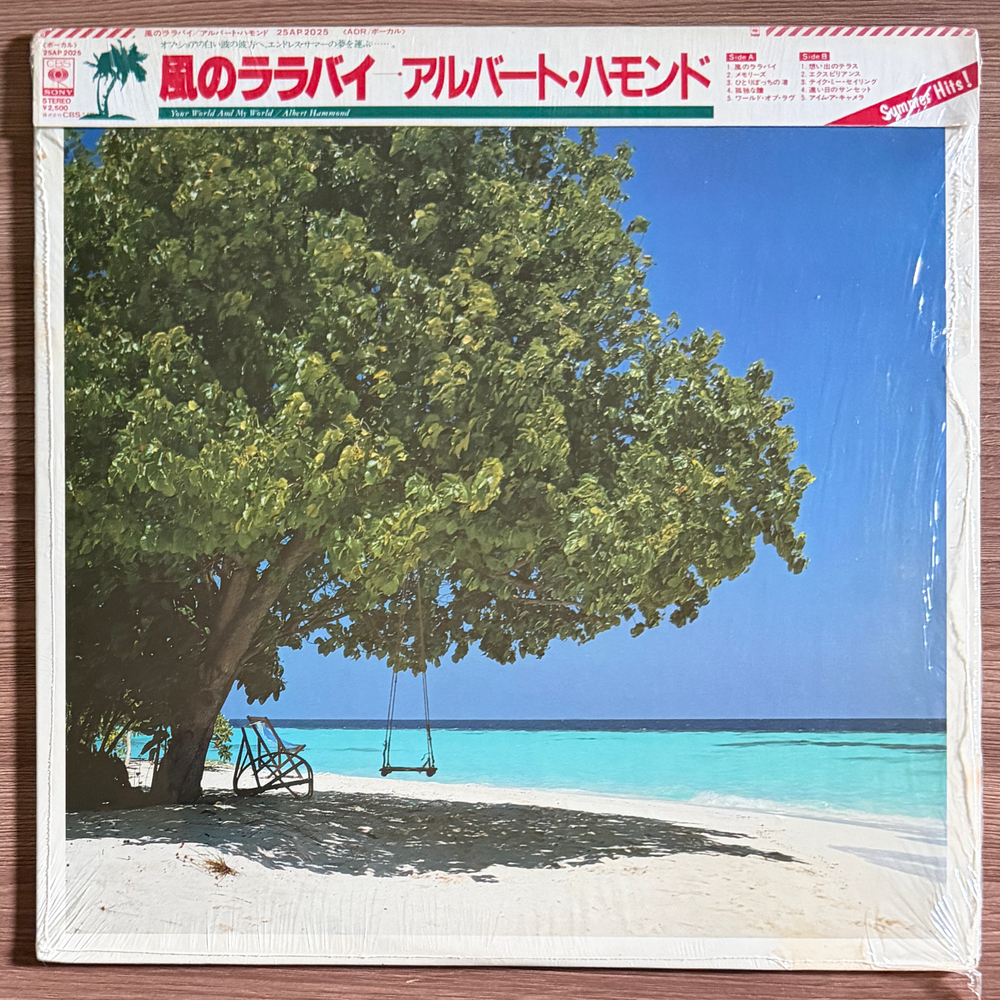 Виниловая пластинка Albert Hammond ‎– Your World And My World LP