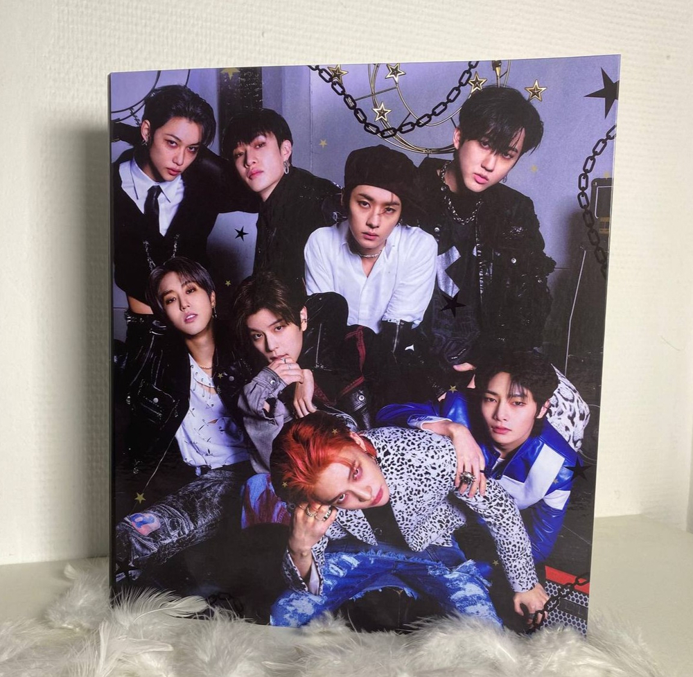 Биндер-обложка Stray Kids (без листов)