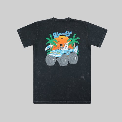 Футболка мужская Ripndip Nerm Cruiser артикул:RND9359 - купить в магазине Дайс