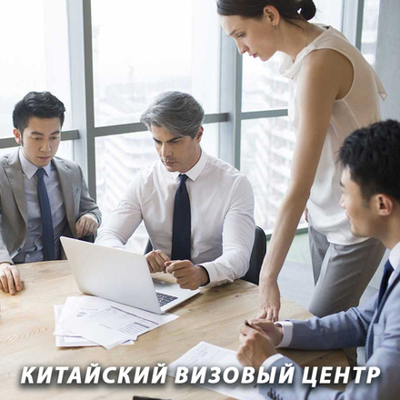 Рабочая виза Z1