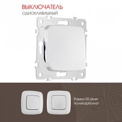 Выключатель одноклавишный без рамки Arte Milano 205 205.30-1.silver