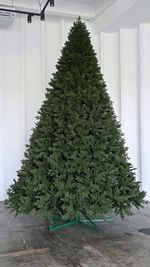 высокая новогодняя ель