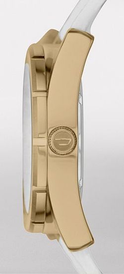 Наручные часы Diesel DZ5356