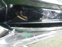Фара правая Skoda Kodiaq (2016-2022) LED