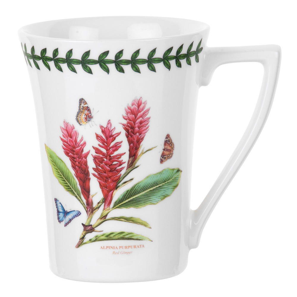 Portmeirion Кружка Exotic Botanic Garden 320 мл Красный имбирь