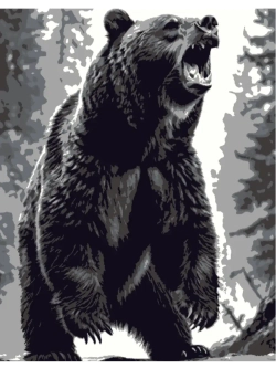 Картина по номерам Медведь
