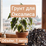 Авторский грунт для Оксалиса 1 литр