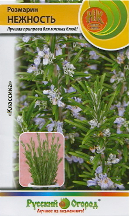 Розмарин нежность