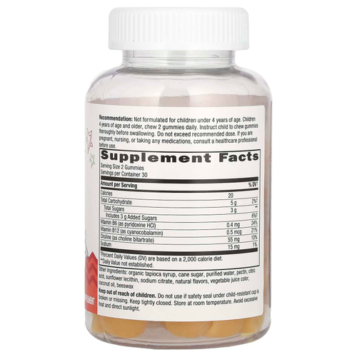 Nature's Way, Kids, жевательная добавка для здоровья мозга, для детей от 4 лет, со вкусом лимонада, 60 жевательных мармеладок