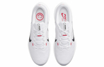 Кроссовки Nike Air Winflo 10