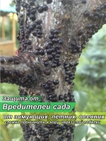 Садовый вар для деревьев известь