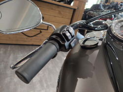 Softail Slim 2021 Harley-Davidson River Rock Gray Denim / Black Denim