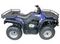 Квадроцикл ARMADA ATV 250L