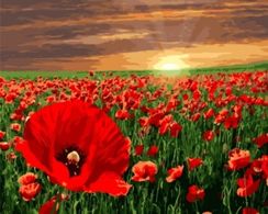 Nömrələr ilə rəngləmə \ Картина по номерам Маковое поле