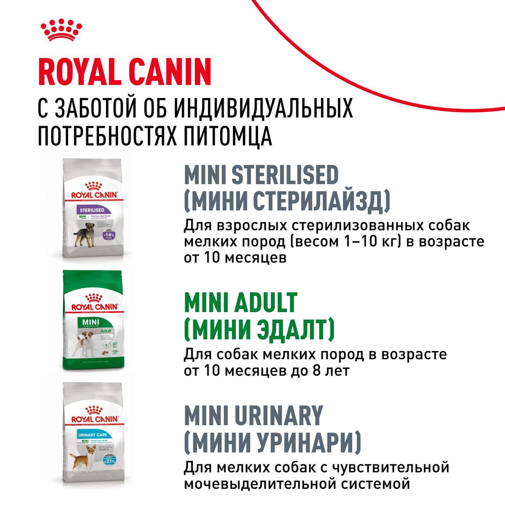 Royal Canin Mini Adult 8+ сухой корм для взрослых собак мелких размеров до 10 кг старше 8 лет 4 кг