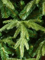 Искусственная ель "Форесто" (Литая+пвх) от 1,2 м до 2,4 м