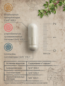 Пробиотики, капсулы, 570 мг, 60 шт