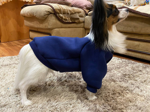 Толстовка толстая Темно-синяя, р. 27