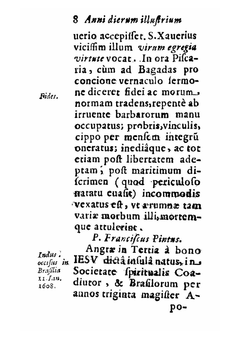 Annus dierum illustrium Societatis Iesu. siue in Anni dies digestae mortes illustres Eorum qui ex eadem Soc. Iesu ab impijs occisi alijsщe aerumnis confecti sunt | Joannes Nadasi