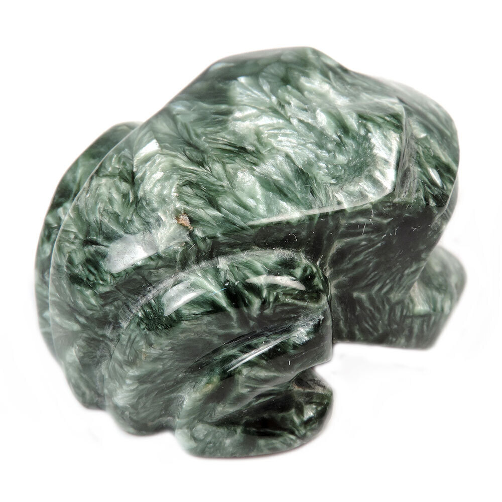 Лягушка клинохлор асс.