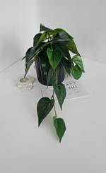 Куст фикуса ампельный / Арт 6375