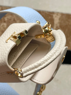 Louis Vuitton Capucines Mini