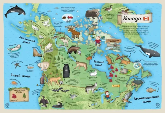 Гигантский атлас животных мира