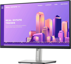 Монитор 23.8" Dell P2422H (2422-5175)