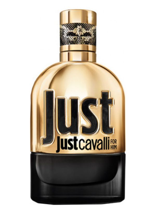 Roberto Cavalli Just Cavalli Gold for Him