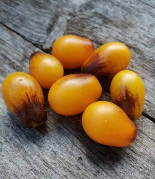 Атомный Закат Atomic sunset