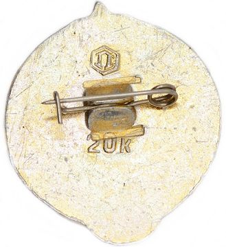 Значок "Юный турист СССР", булавка