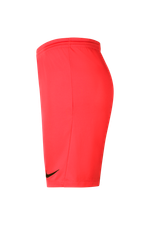 Шорты Nike Dry Park III