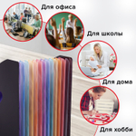 Лоток-органайзер вертикальный для бумаг и документов 13 отделений BRAUBERG DOCS А4 черный (2 штуки в упаковке)