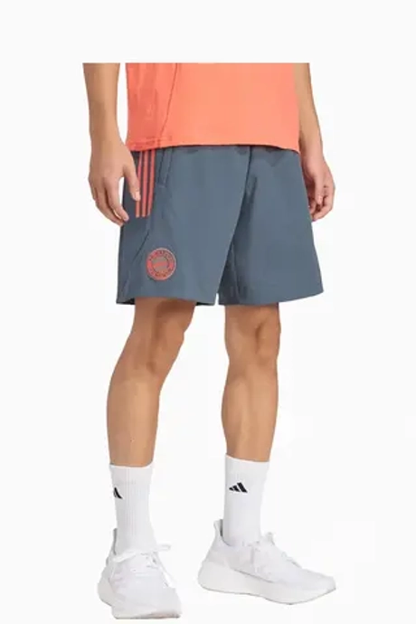 Шорты adidas FC Bayern 25/26 Competition Downtime - серый