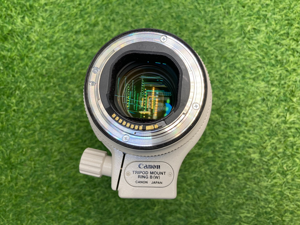 Canon EF 70-200mm 2.8L IS II USM