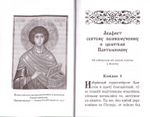 Акафистник в телесных болезнях "Благодатная помощь болящим"