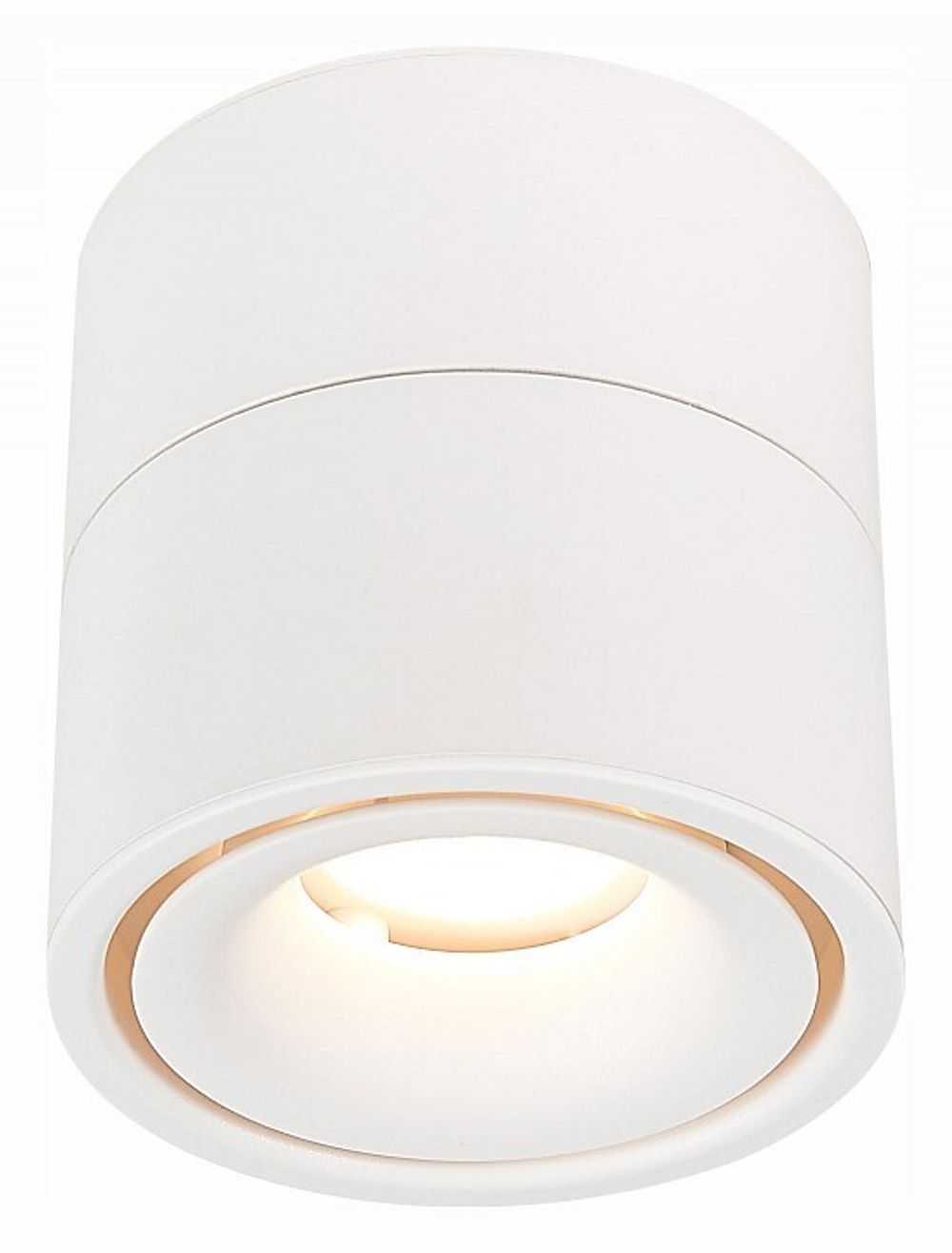 Светильник на штанге ST-Luce ST652 ST652.542.12