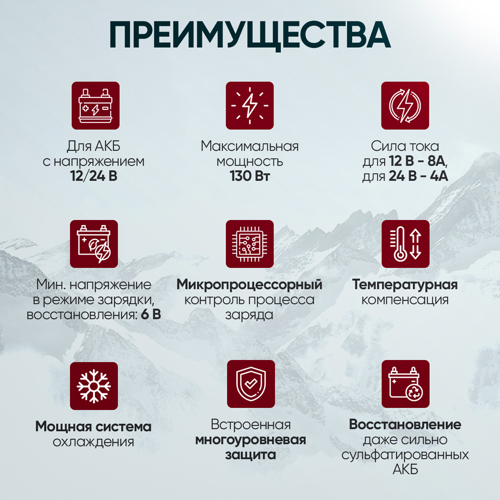 Импульсное зарядное устройство 12/24В с функцией восстановления iCartool IC-CH102