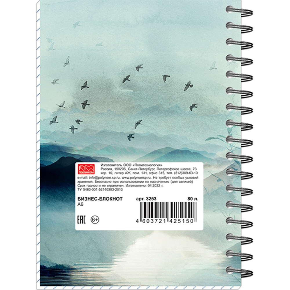 НОВИНКА! Бизнес-блокнот А6 в клетку "Туманные пейзажи" 80 листов на гребне (слева), обложка фольга+твинлак