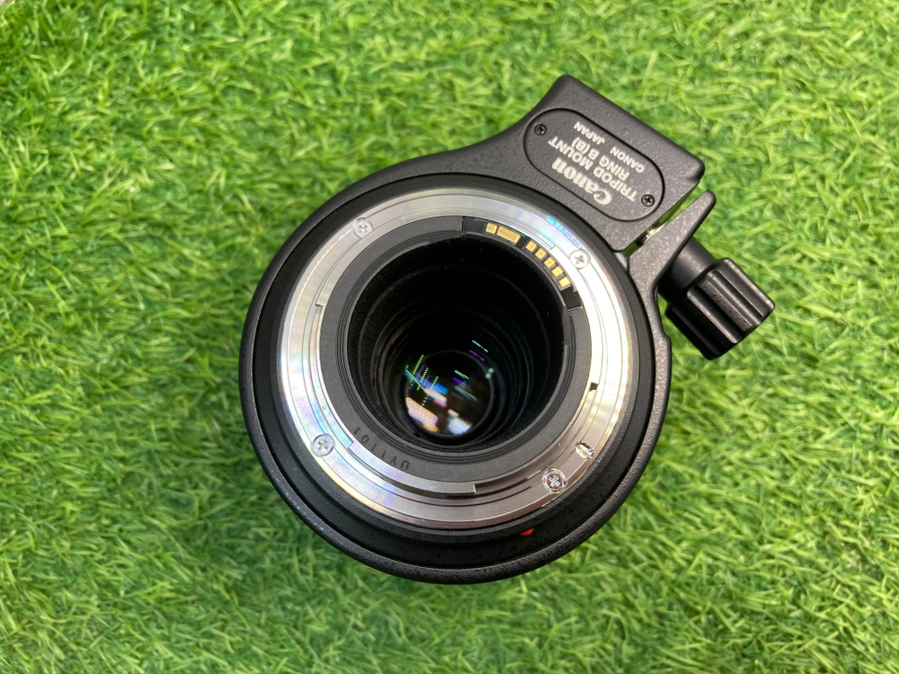 Canon MP-E 65mm 2.8 1-5x Macro Photo