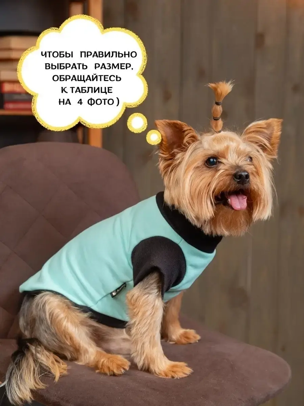 Футболка для собак мелких средних пород и кошек