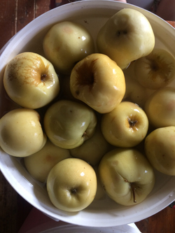 Мочёные яблоки