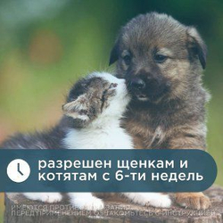 Таблетки от блох, клещей и гельминтов Inspector (Инспектор Квадро Табс) для собак и кошек 2-8кг (4 таблетки)