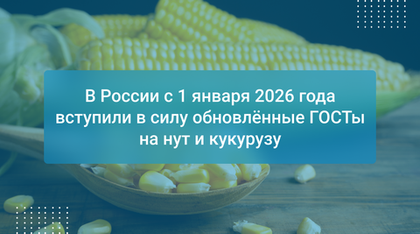 В России с 1 января 2026 года вступили в силу обновлённые ГОСТы на нут и кукурузу