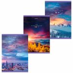 Тетрадь А4, 96 л., BRAUBERG, скоба, клетка, обложка картон, "Journey", 404064, 3шт